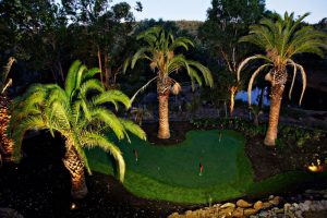 golf-palm