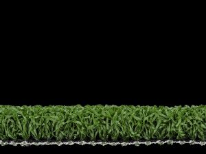 hockey-green-hf1