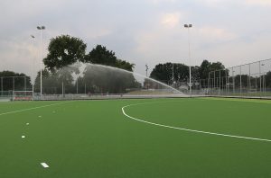 NETHERLANDS-de-mezen-field2-1000x660