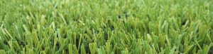 banner-inno10