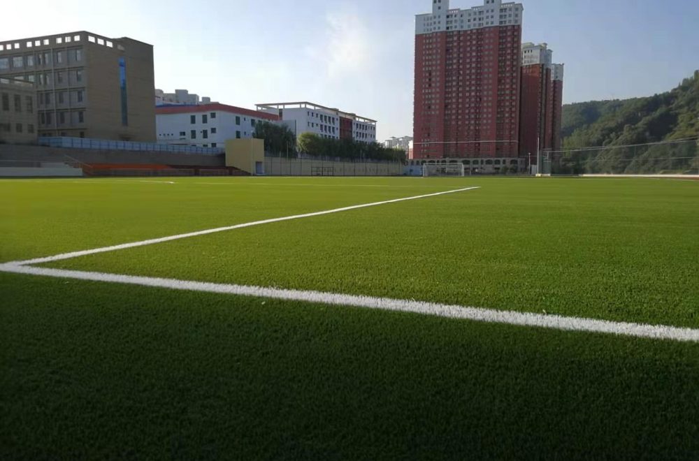 Zhidan County Campus Football Training Field, China