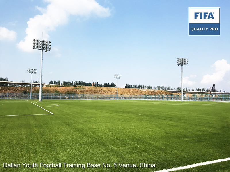 Dalian Football Club estadio profesional de alta calidad de la FIFA de clase mundial