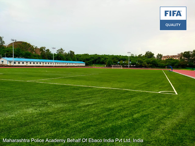 Los pastizales artificiales que proporcionamos a la Academia de policía de maharashtra, india, han sido probados por las normas de la FIFA y han obtenido la certificación de calidad de la FIFA. La Academia eligió ccgrass, que tiene la mejor fábrica de césped sintético. Nuestro césped deportivo más famoso, stemgrass, se caracteriza por tener una robusta "columna vertebral" en el Centro de cada cuchilla que ayuda a que su apariencia sea natural y ofrece una resistencia adicional al desgaste.