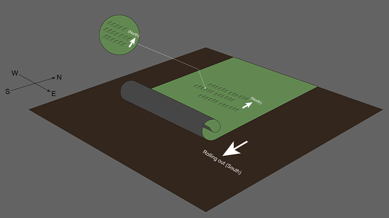 CCGrass, diagrama de dirección del rollo de césped