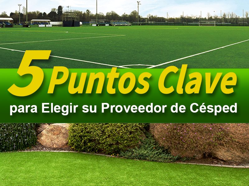 5 puntos clave para elegir su proveedor de césped