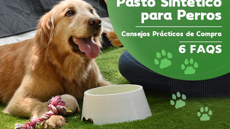 Pasto Sintético para Perros – Consejos Prácticos de Compra (6 FAQS)