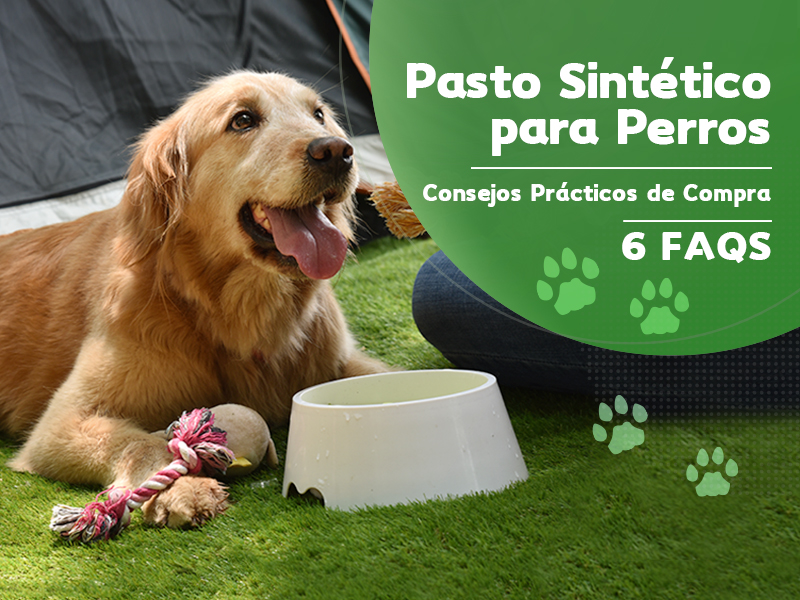 cada Ruina Reunión Pasto Sintético para Perros - Consejos Prácticos de Compra (6 FAQS) -  CCGrass