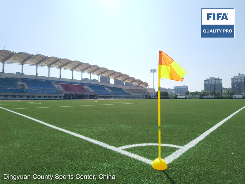 CCGrass, campo de fútbol, campo certificado por la FIFA