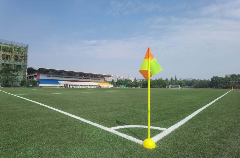 Wuhu Institute of Technology Yinhu Campus Football Field (China)