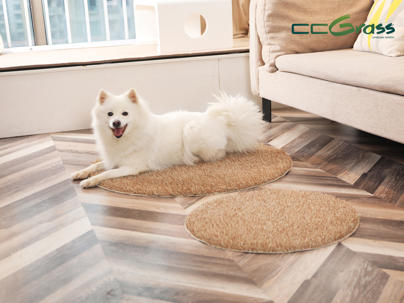 CCGrass, Alfombrilla para Mascotas