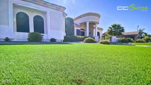 CCGrass, césped artificial para jardines