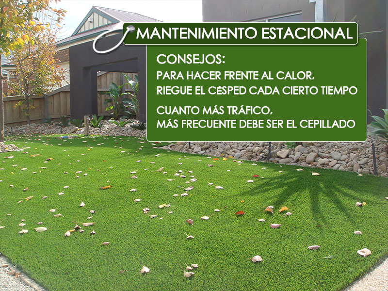 CCGrass, césped de jardín, mantenimiento estacional