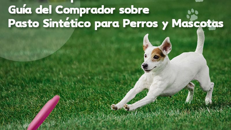 La Guía del Comprador Más Completa sobre Pasto Sintético para Perros y Mascotas