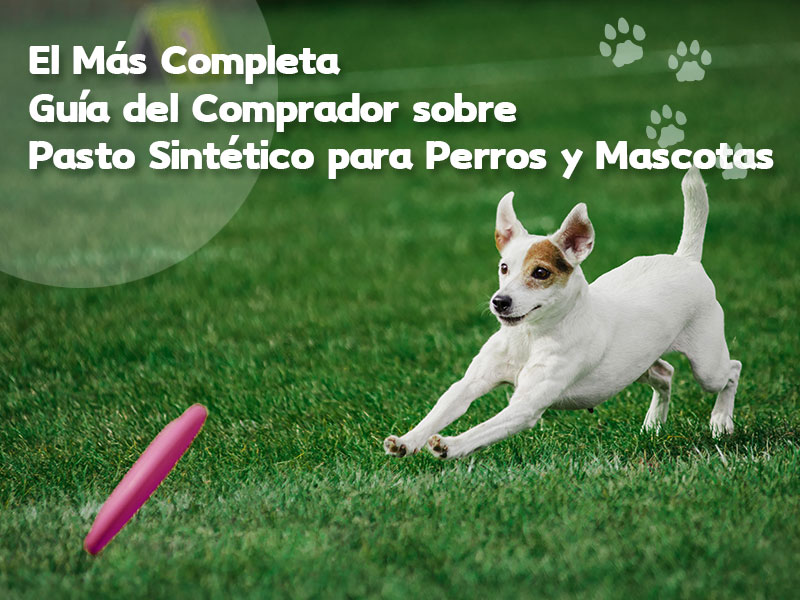 La Guía del Comprador Más Completa sobre Pasto Sintético para Perros y Mascotas