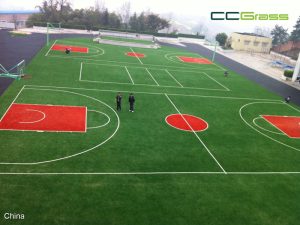 CCGrass, Cancha Combinada de Baloncesto y Voleibol