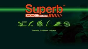 superb sports turf