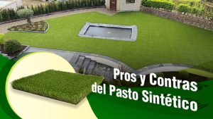 Pros y Contras del Pasto Sintético