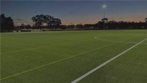 multi sports turf