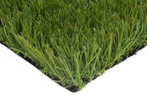 CCGrass innova en césped de rugby, Max EX2 50