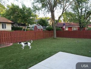 Durable-Dog-Runs-and-Kennels