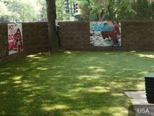 Thriving-Dog-Parks-with-Artificial-Turf