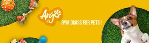 pet-bg