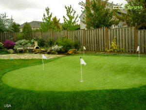 Backyard-Putting-Green-FAQs-Perfect-Home-Setup-Guide