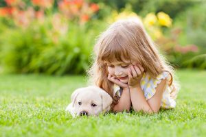 Antimicrobial-Artificial-Grass-image1