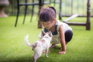Antimicrobial-Artificial-Grass-image2