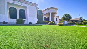 Self-Cooling-Artificial-Turf-image1