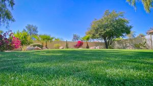 Self-Cooling-Artificial-Turf-image2