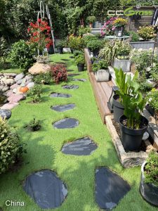 Pequeño Sendero de Jardín con Grass Sintético