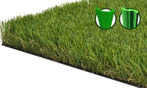 CCGrass, Classic césped residencial