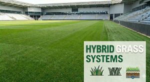 Cancha de fútbol de césped híbrido