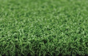green-hf