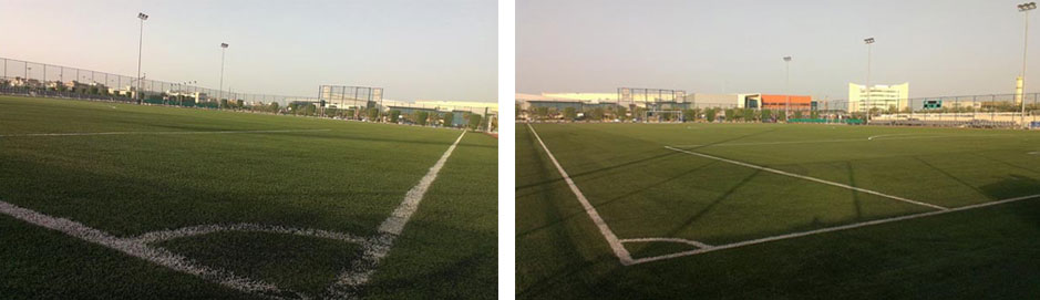 Football Pitches Hunger for Artificial Grass