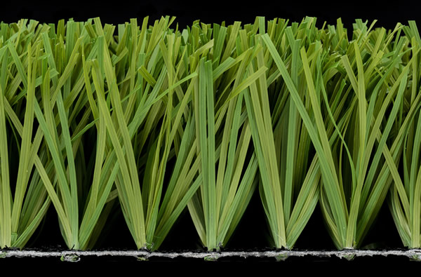 Stemgrass