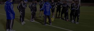 fifa-flex