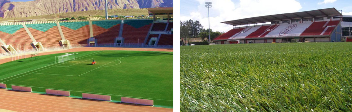 Synthetic Turf; Not Just Cosmetics for Football