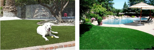 Pets Also Love Your Artificial Grass