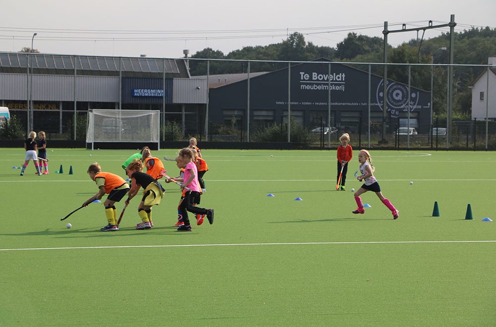 Netherlands Hockeyclub De Mezen Field