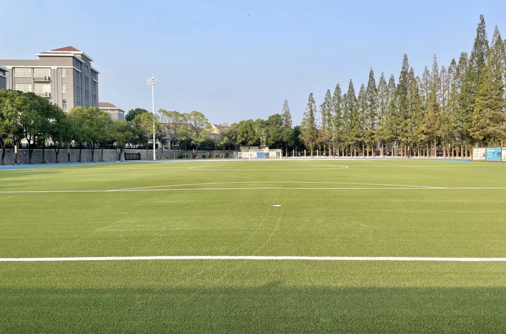 Lishui No.1 Junior Middle School of Nanjing (China)