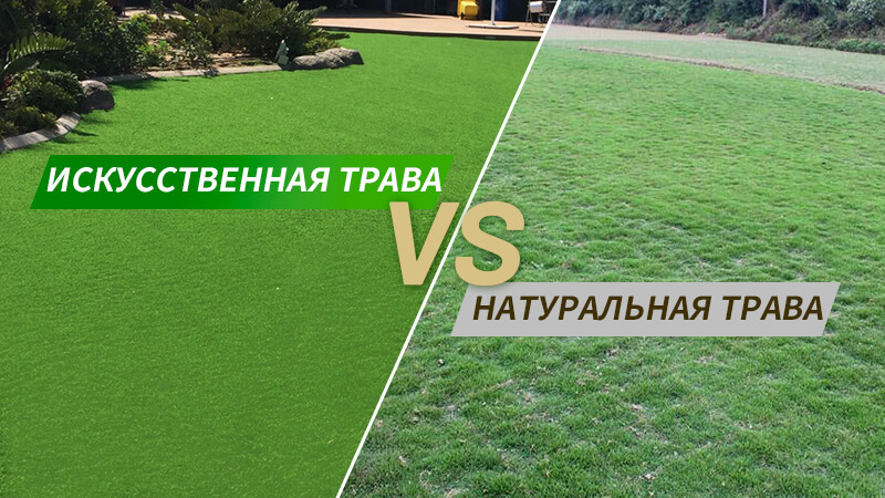 Искусственная трава vs. Натуральная трава (плюсы и минусы)