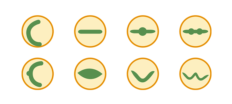 CCGrass, популярные формы волокон для реалистичного озеленения газона