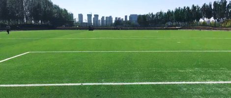 FIFA Quality Pro Awarded to CCGrass in Top Chinese Footballer’s Hometown