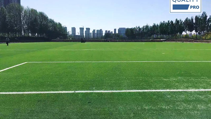 FIFA Quality Pro Awarded to CCGrass in Top Chinese Footballer’s Hometown