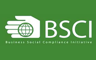bsci ccgrass artificial grass manufacturer company qualified