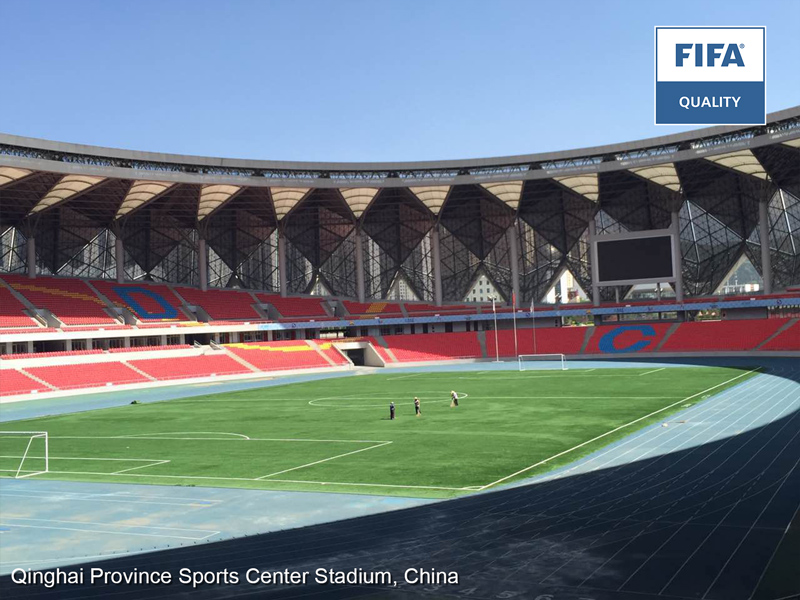 A high-level artificial grass for Qinghai Province Sports Center