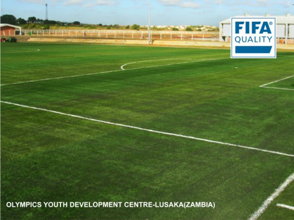 CCGrass artificial grass football FIFA field nature d2
