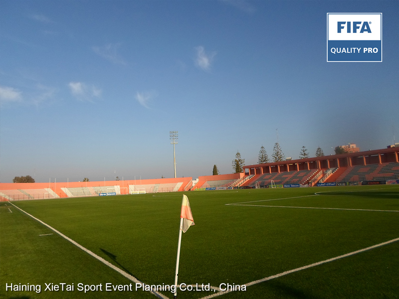 High performance pitch with fake grass in China